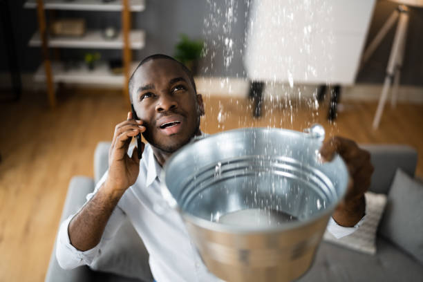 Best Water damage mitigation services  in Churchville, NY