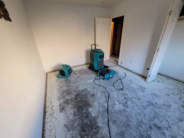 Best Emergency water damage restoration  in Churchville, NY