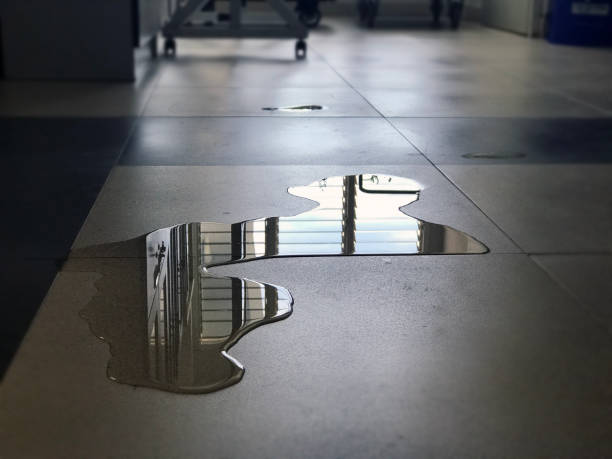 Best Water damage restoration process  in Churchville, NY