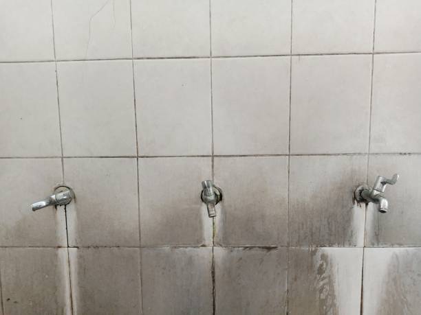 Best Fire Damage Restoration  in Churchville, NY