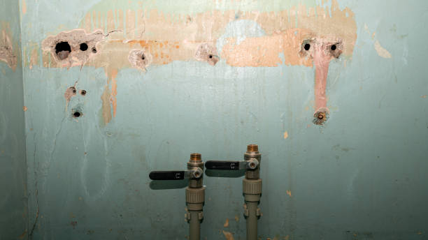 Best Water damage restoration mold remediation  in Churchville, NY