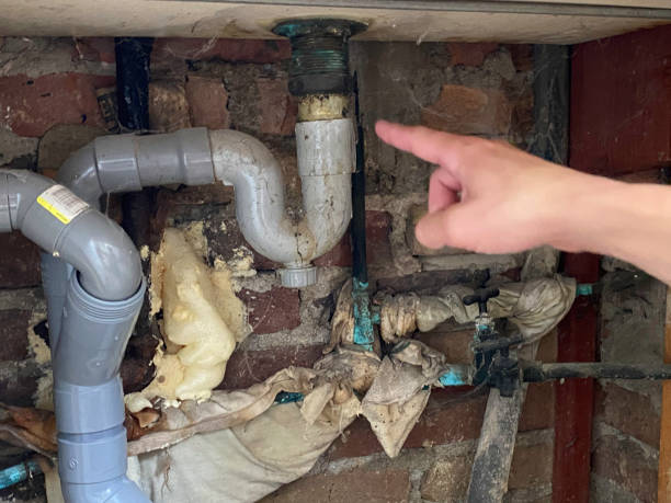 Best Flood damage cleanup  in Churchville, NY