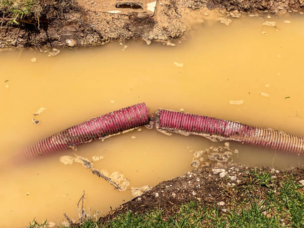  Churchville, NY Water damage restoration Pros